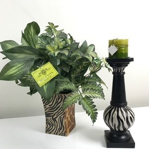 3 PC. Safari Theme Home Decor Accents
